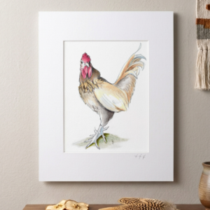Lil Roo – 8x10 Art Print matted to 11x14